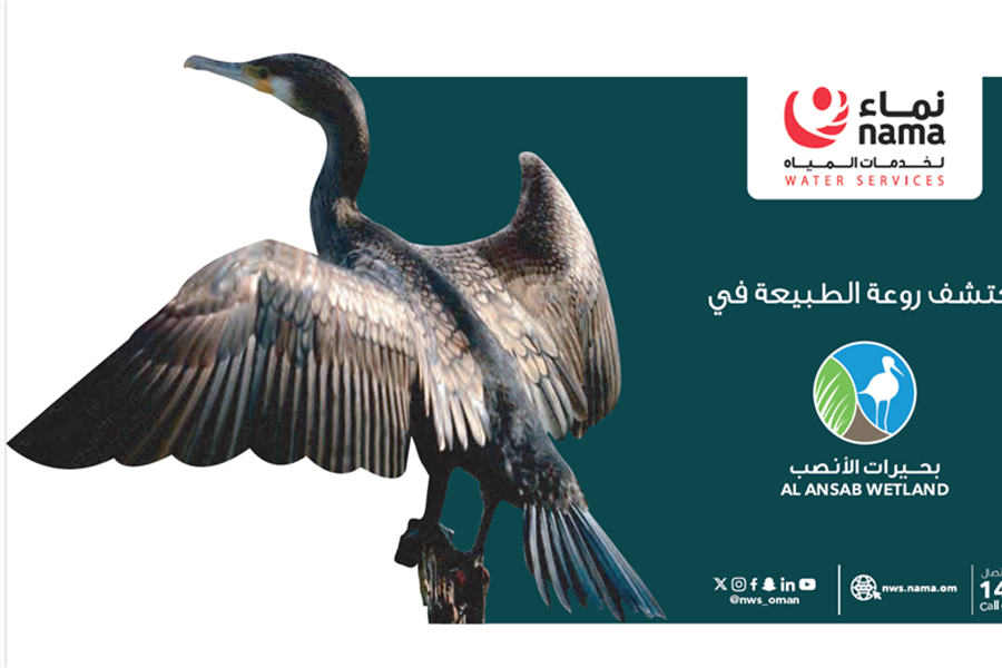 Wetland Booklet